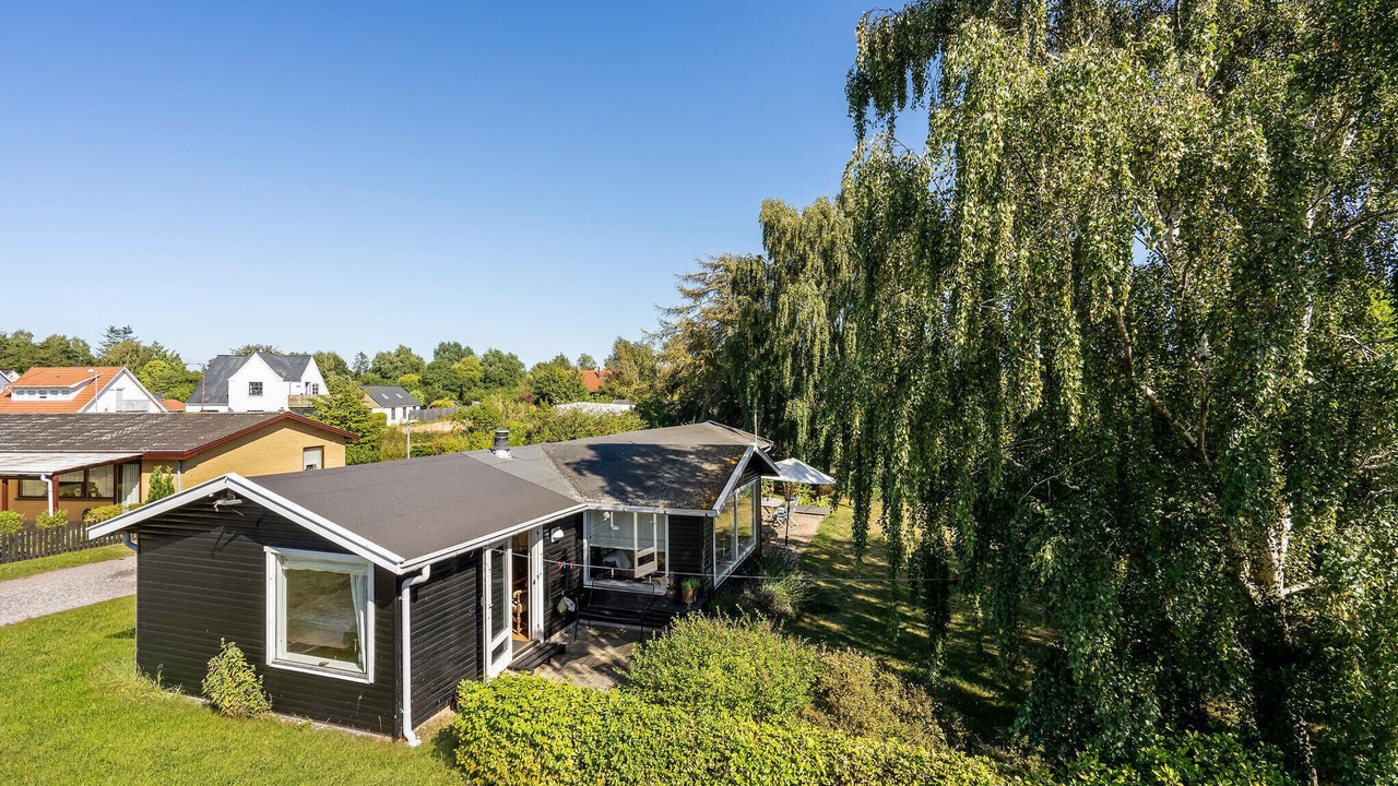 Photo of Others in Bog By