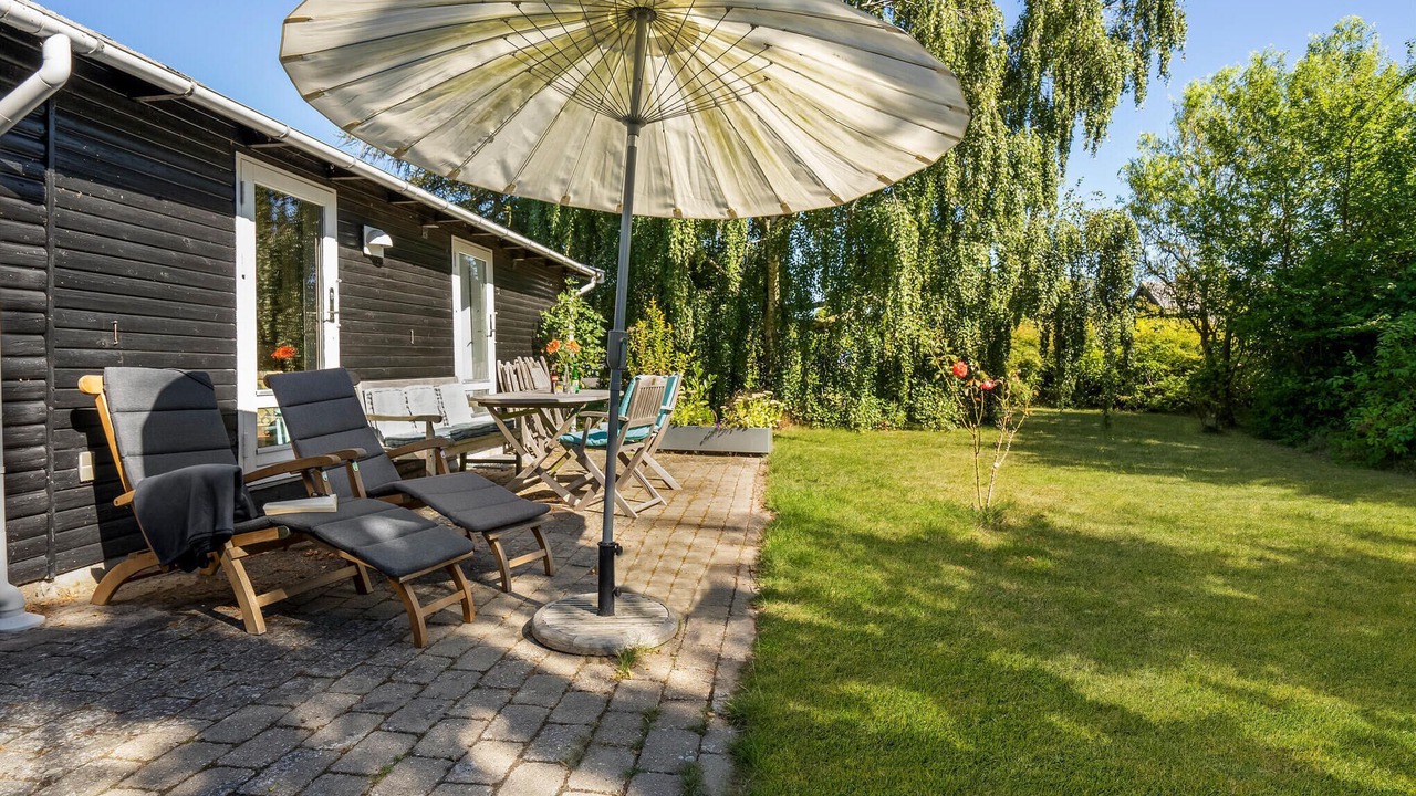 Photo of Others in Bog By