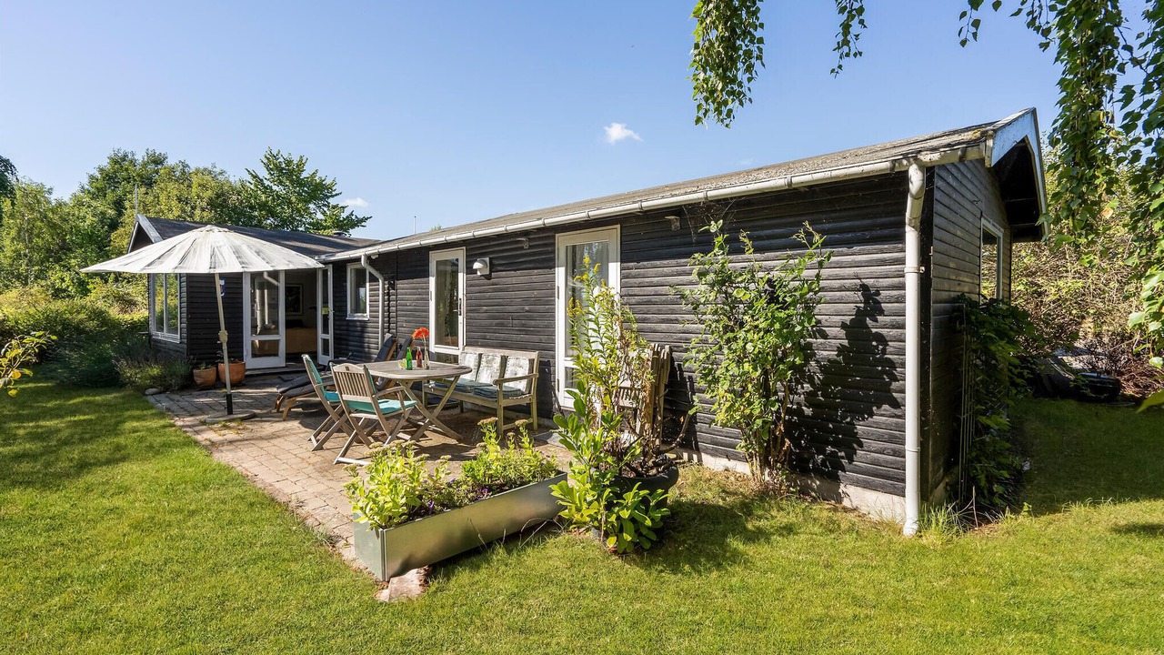 Photo of Others in Bog By