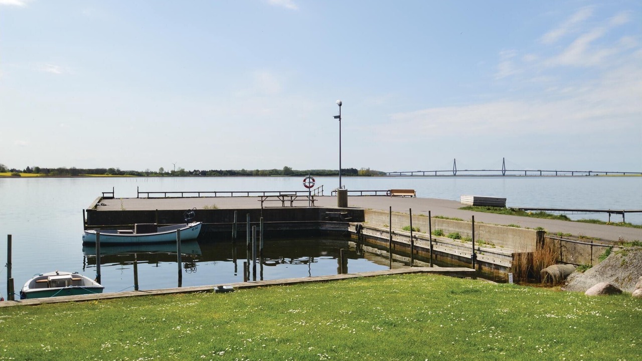 Photo of Others in Bog By