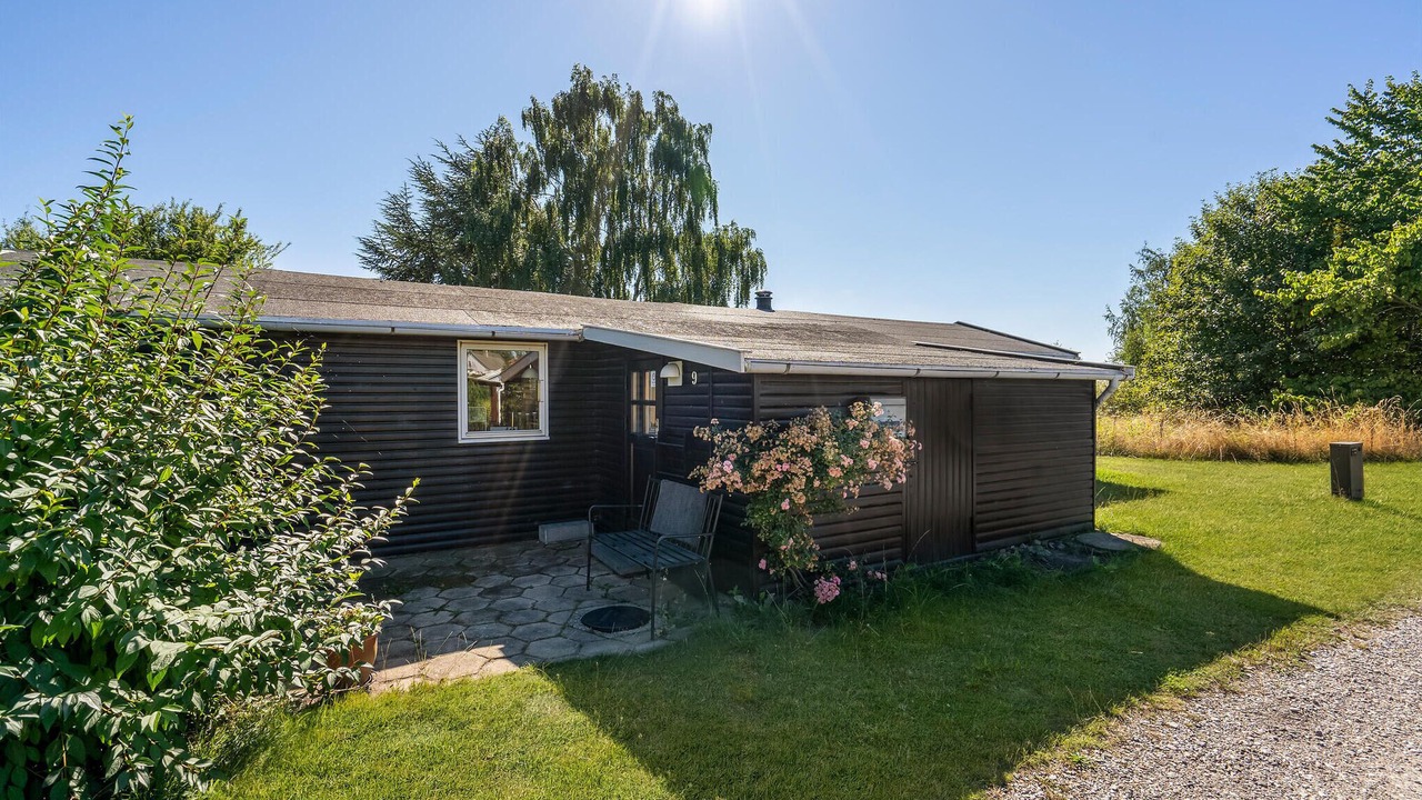 Photo of Others in Bog By