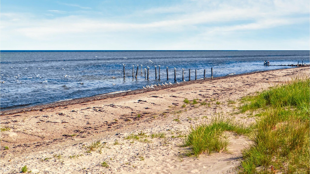 Photo of Others in Fjellerup Strand