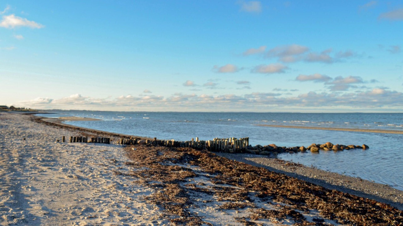 Photo of Others in Fjellerup Strand