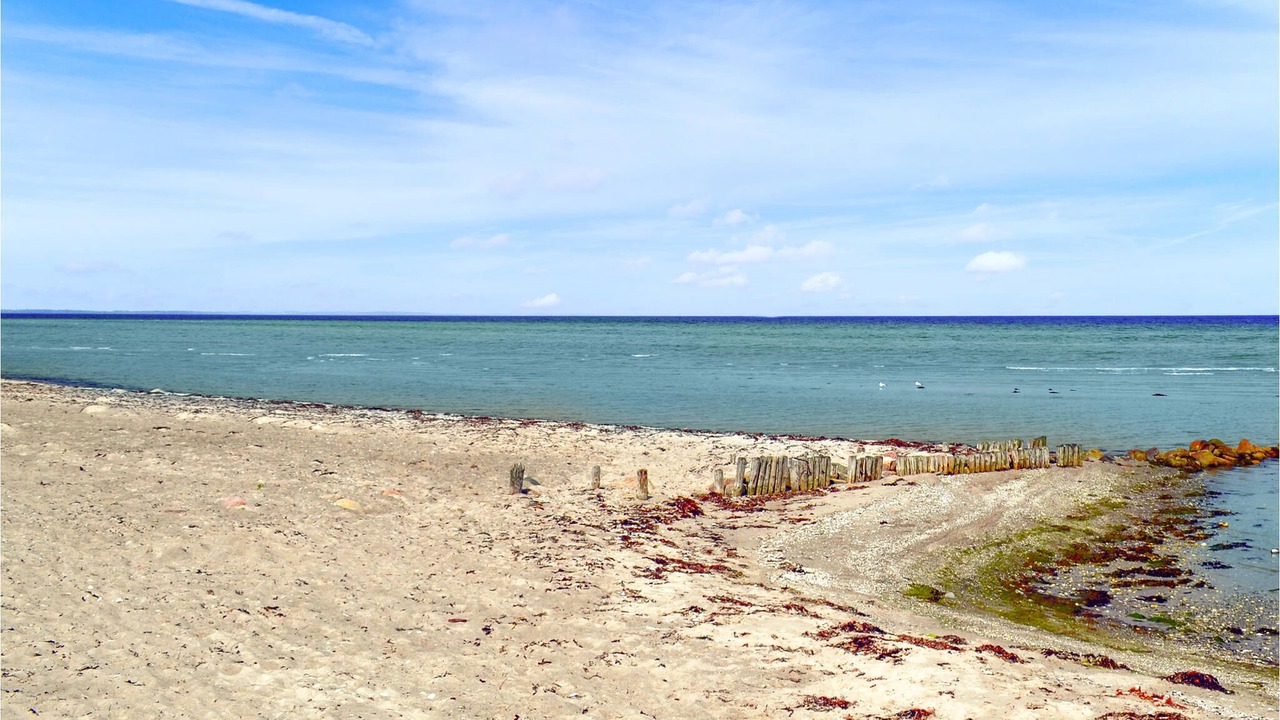 Photo of Others in Fjellerup Strand