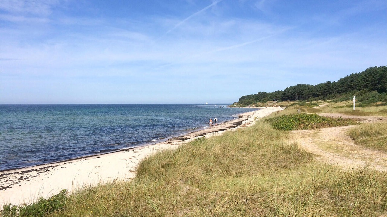 Photo of Others in Hasle