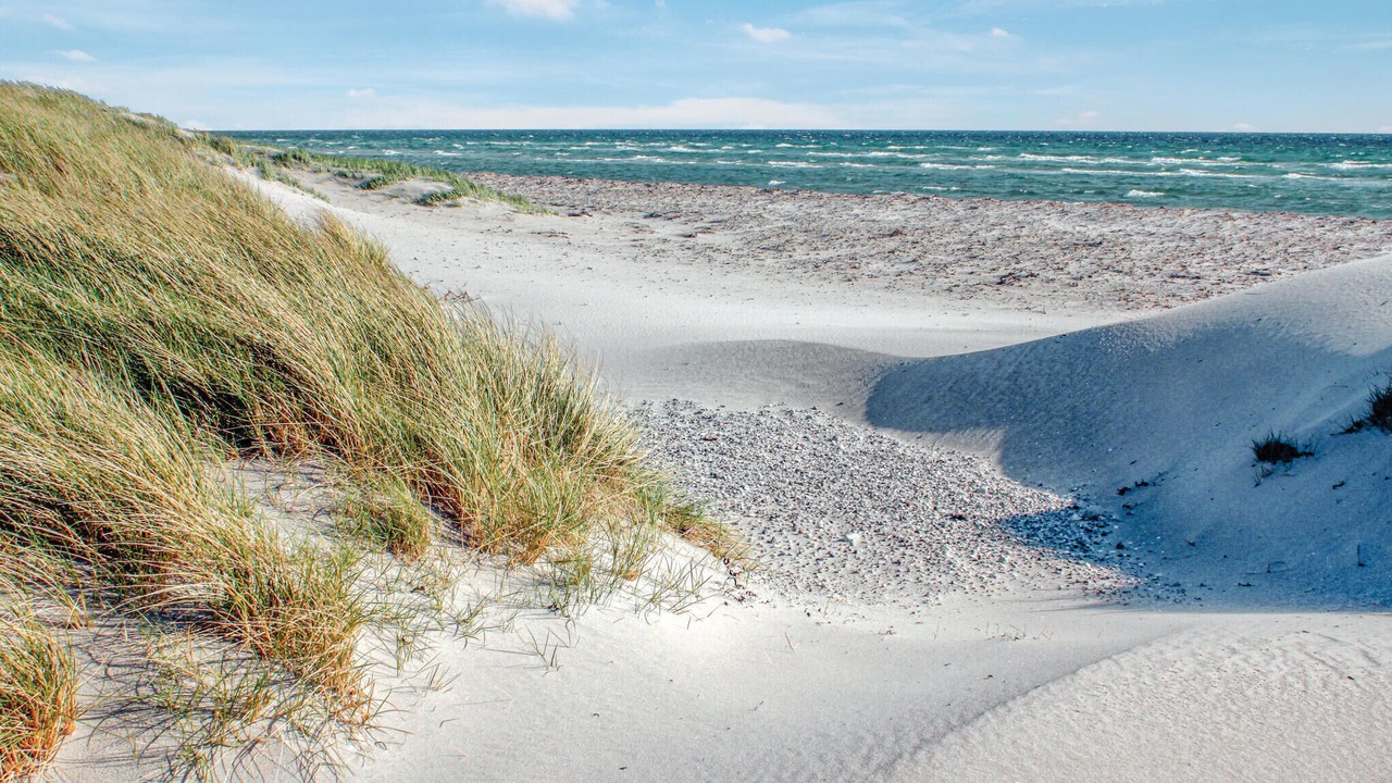 Photo of Others in Øer Strand