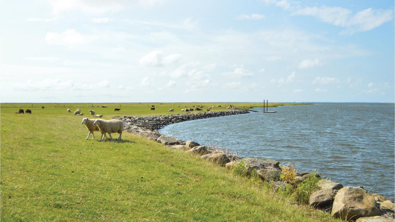 Photo of Others in Ribe