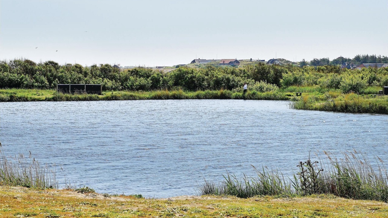 Photo of Others in Houvig Strand