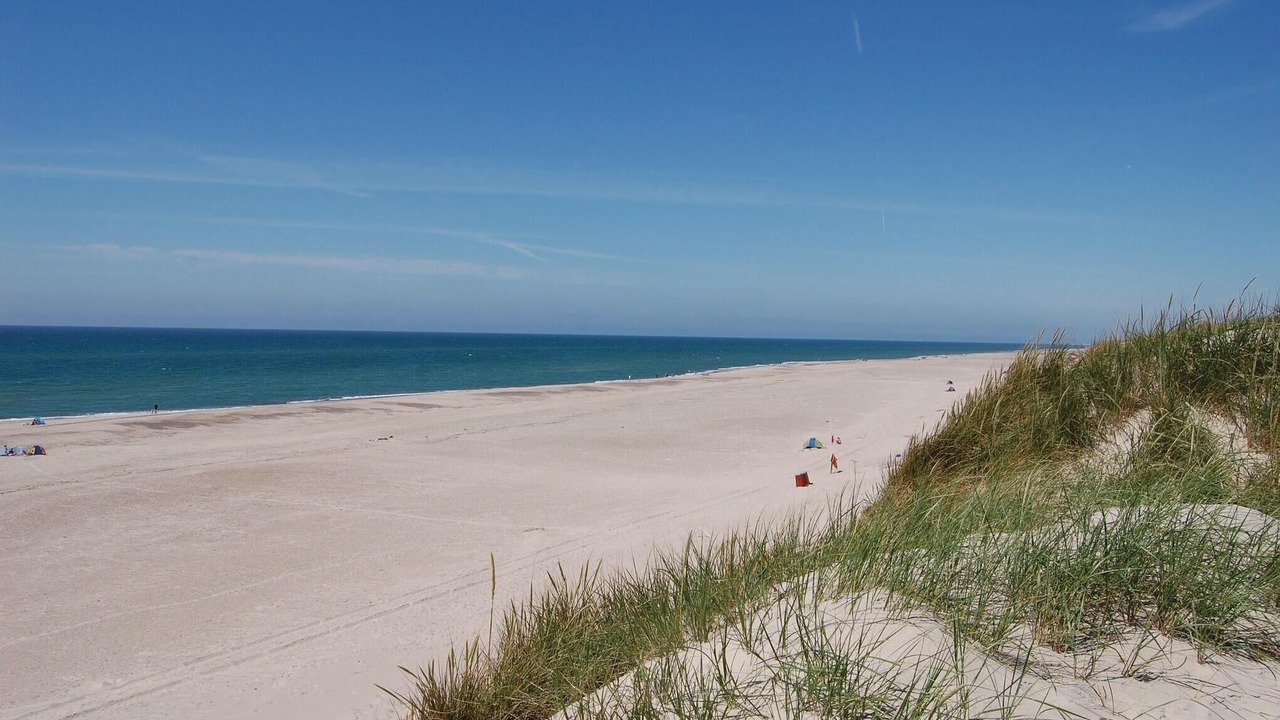 Photo of Others in Hvide Sande