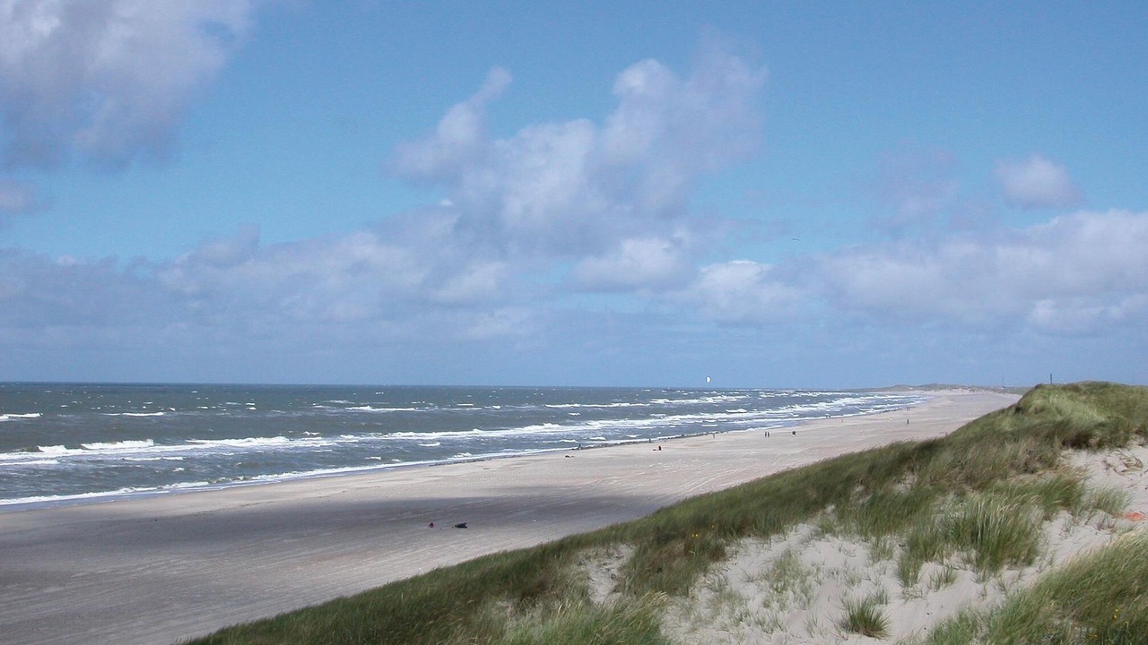 Photo of Others in Hvide Sande