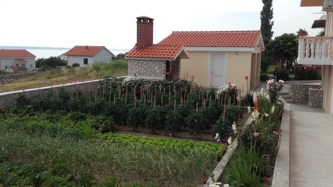 Photo of Outdoor in Rtina