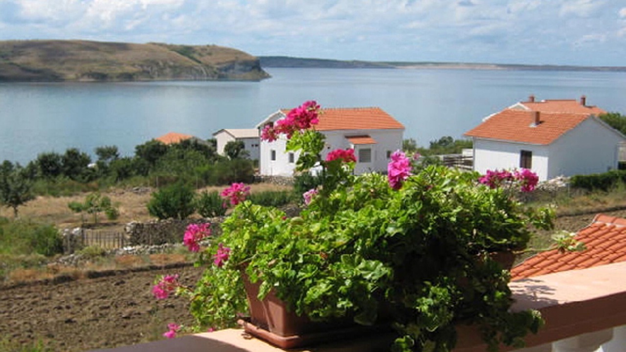 Photo of Outdoor in Rtina