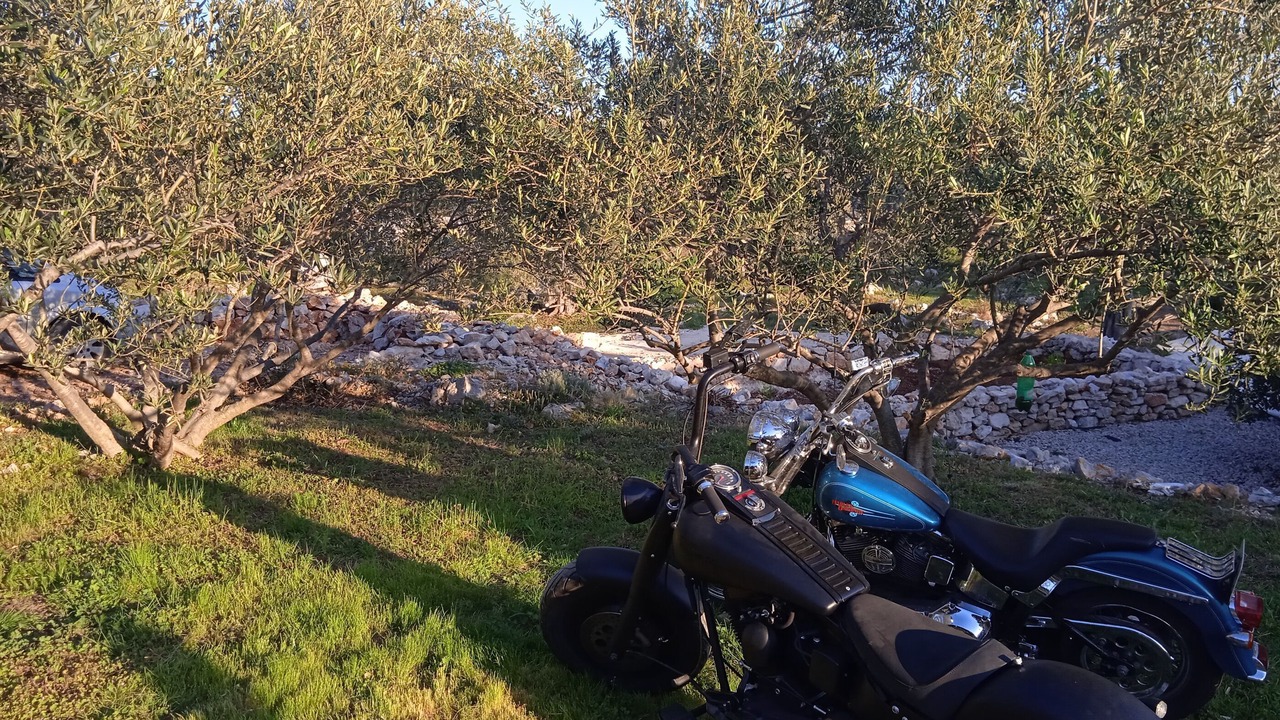 Photo of Outdoor in Tkon