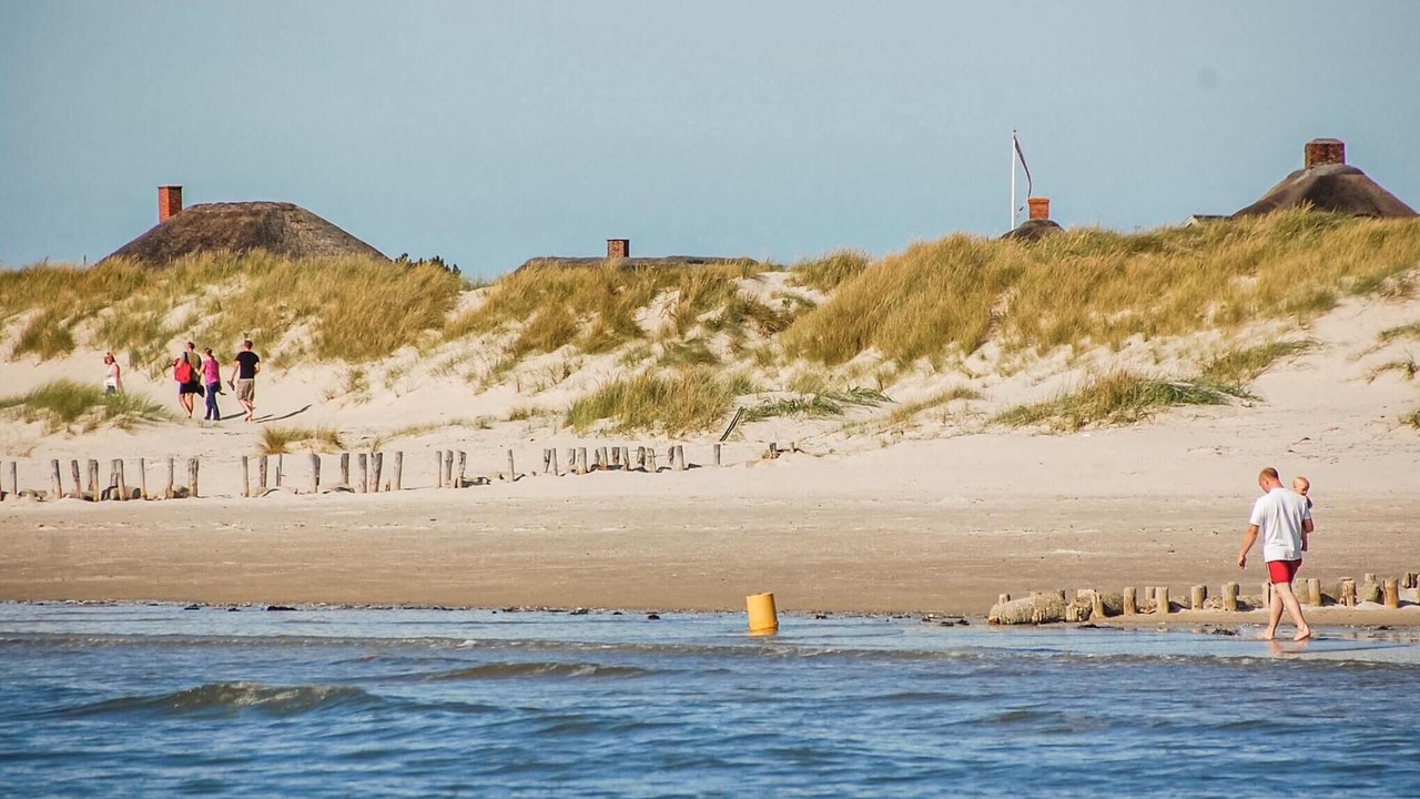 Photo of Others in Blavand Strand