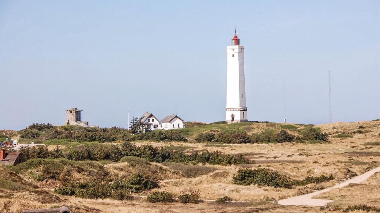 Photo of Others in Blavand Strand