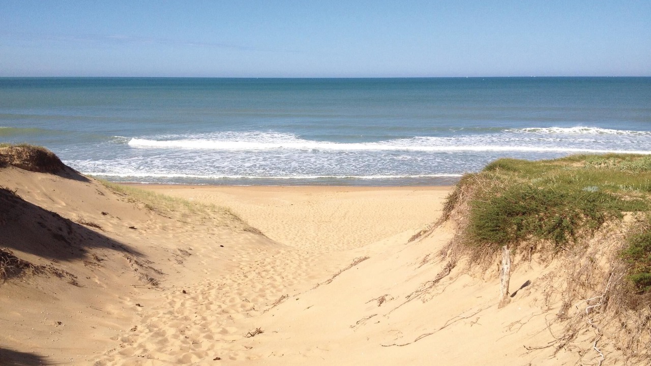 Photo of Others in La Faute-sur-Mer