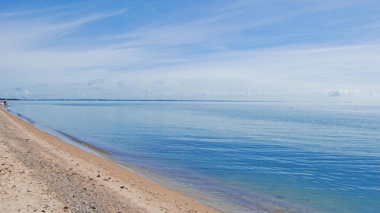 Photo of Others in Flovt Strand