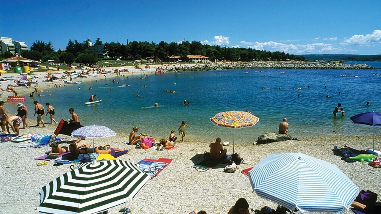 Photo of Others in Novigrad
