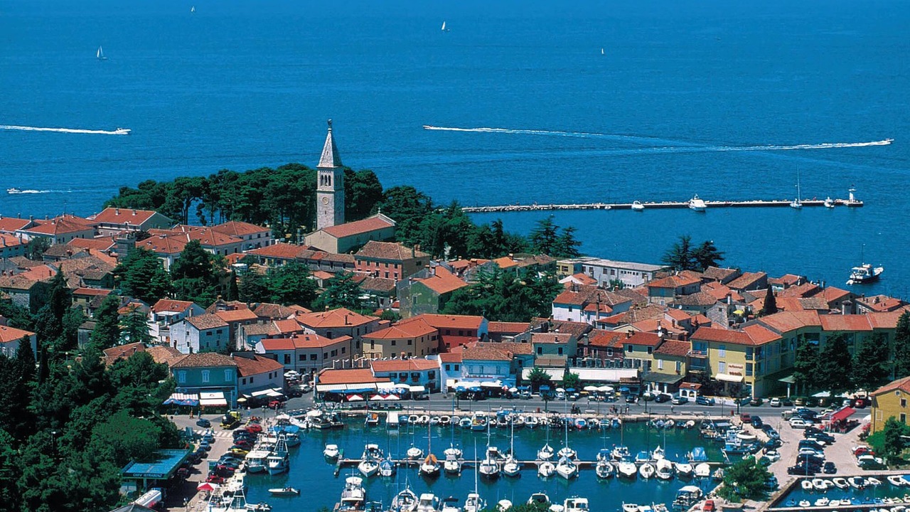 Photo of Others in Novigrad