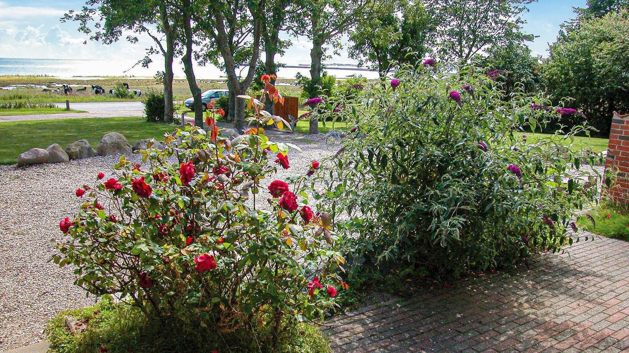 Photo of Outdoor in Vesløs