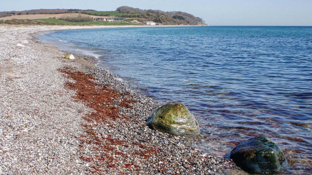 Photo of Others in Ebeltoft