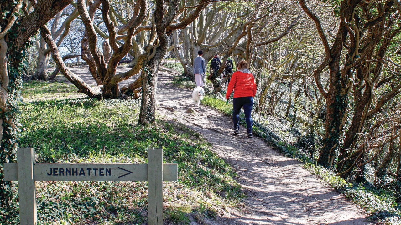 Photo of Others in Ebeltoft