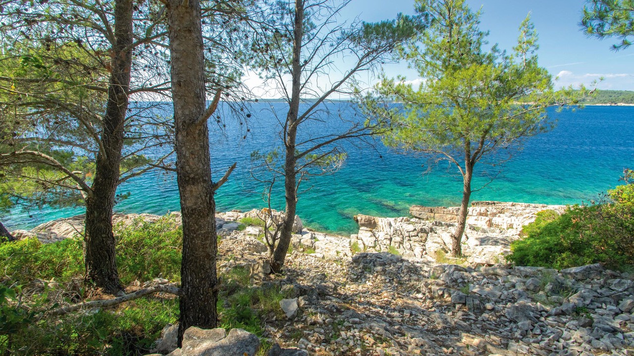 Photo of Others in Vela Luka