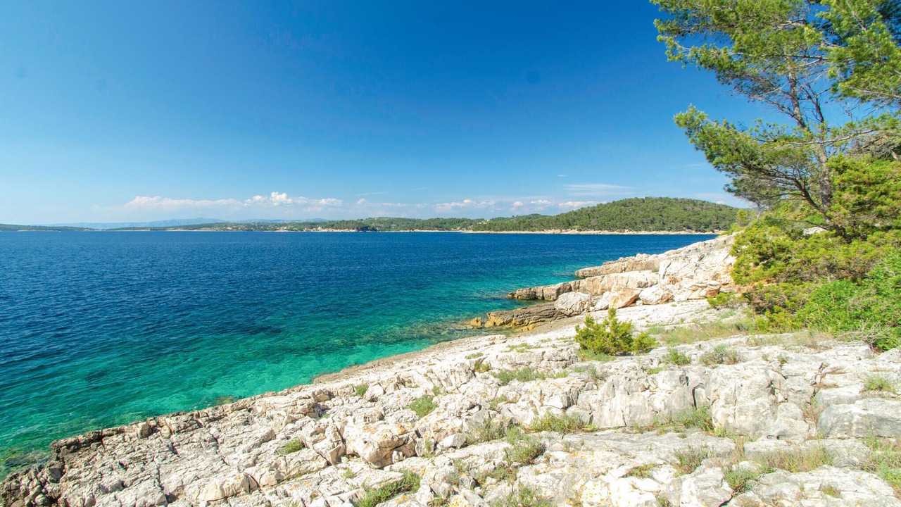 Photo of Others in Vela Luka