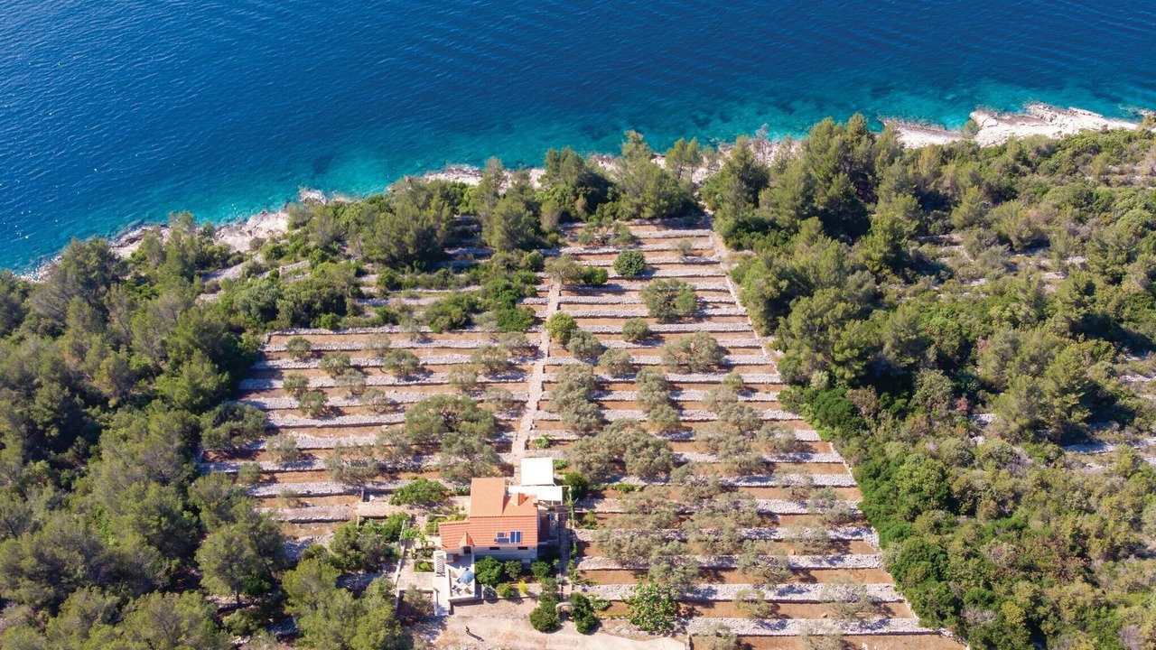 Photo of Others in Vela Luka