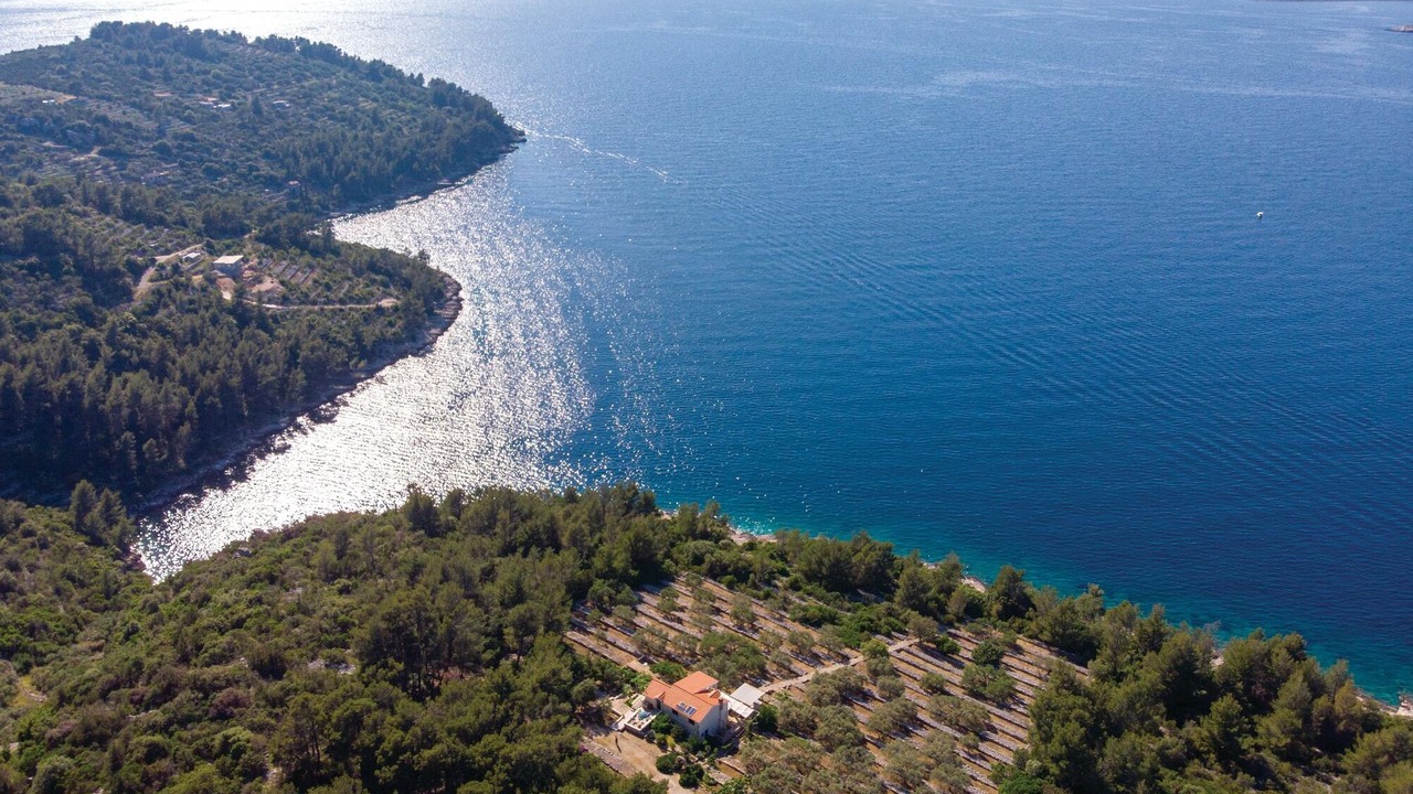 Photo of Others in Vela Luka