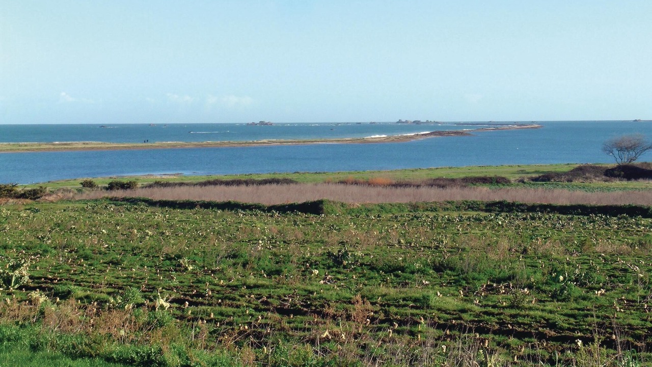 Photo of Others in Kerbors