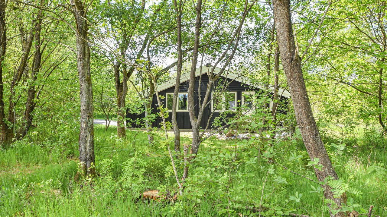 Photo of Outdoor in Skygge