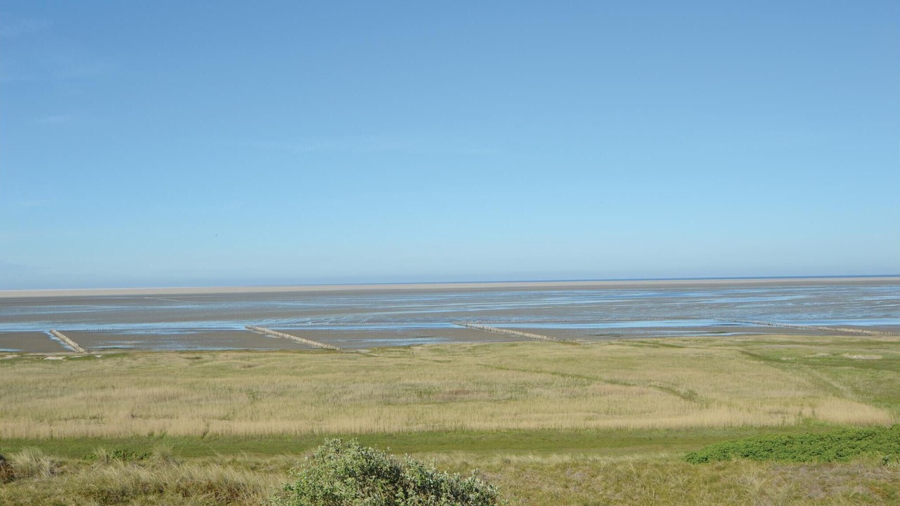 Photo of Others in Sonderho