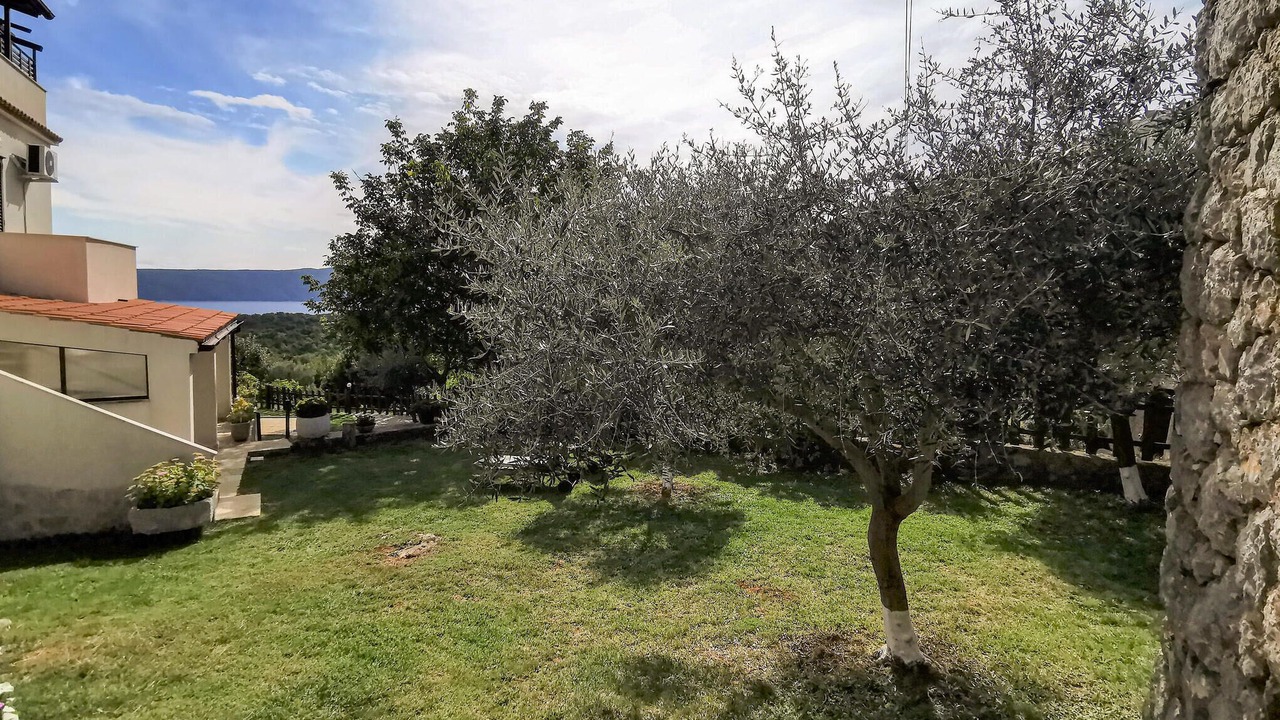 Photo of Others in Martina
