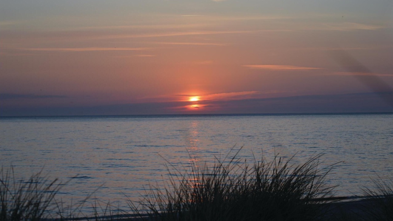 Photo of Others in Harboore