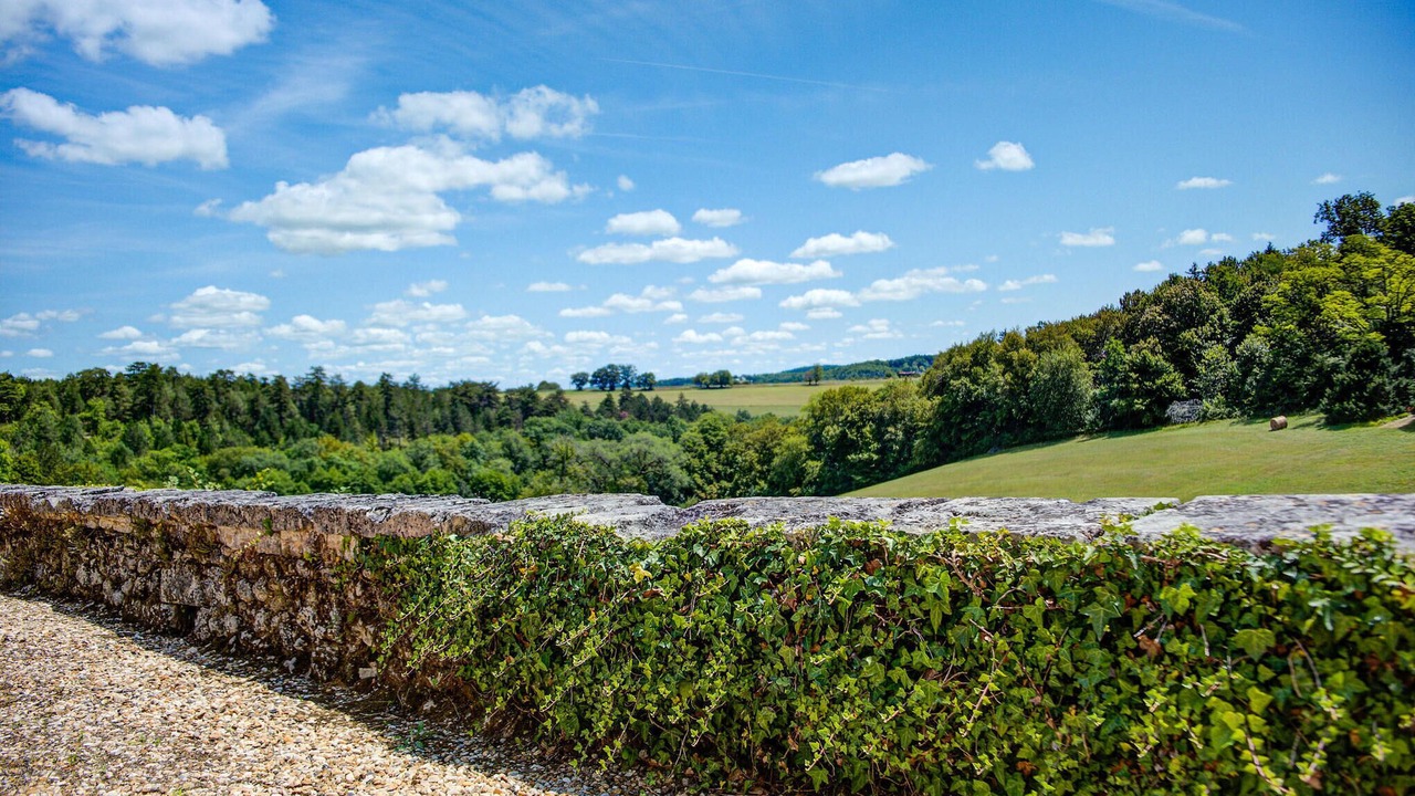 Photo of Others in Saint-Martin-des-Combes