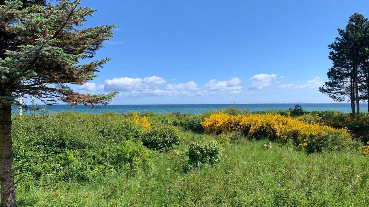 Photo of Others in Saksild Strand