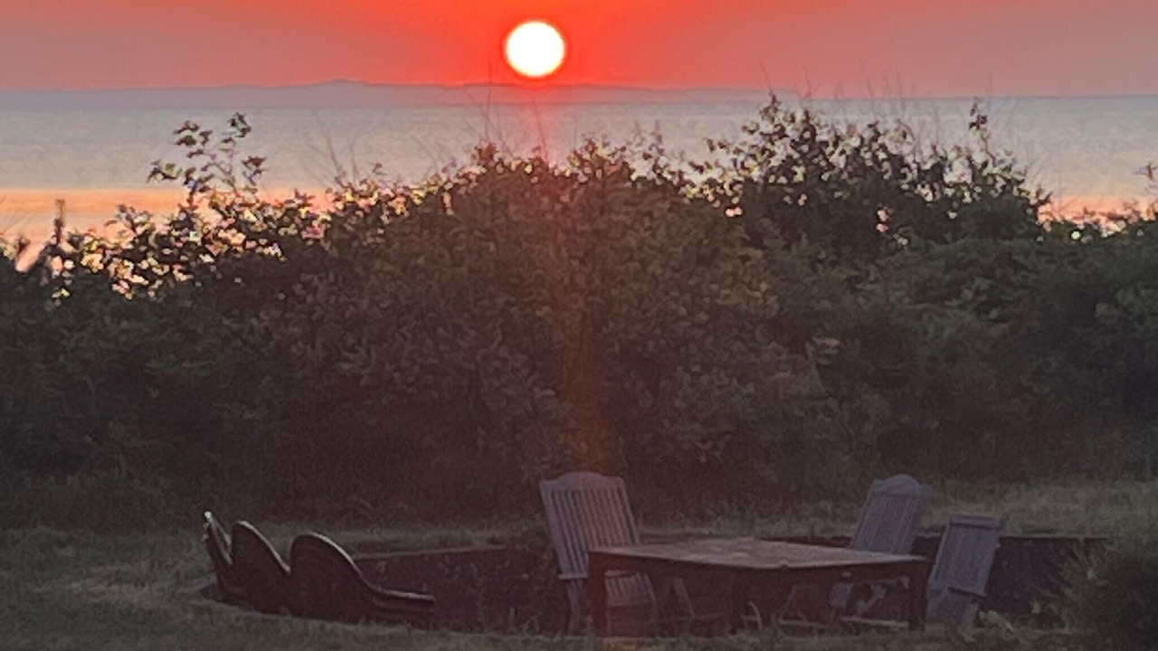 Photo of Others in Saksild Strand