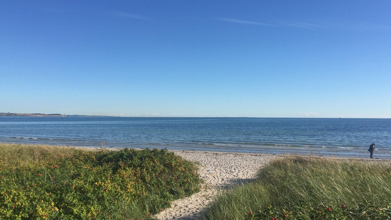 Photo of Others in Saksild Strand