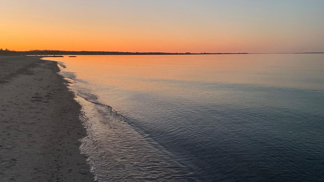 Photo of Others in Saksild Strand