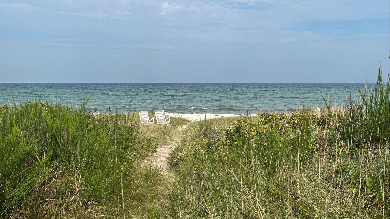 Photo of Others in Saksild Strand