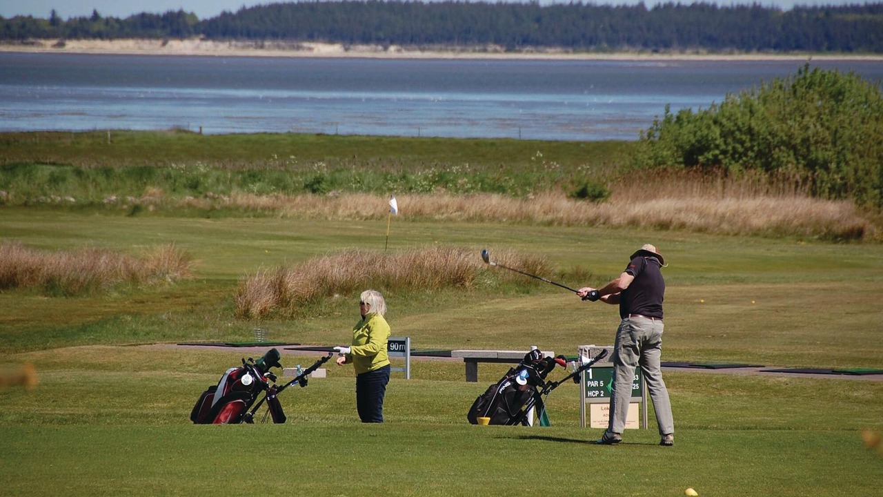 Photo of Others in Blavand Strand