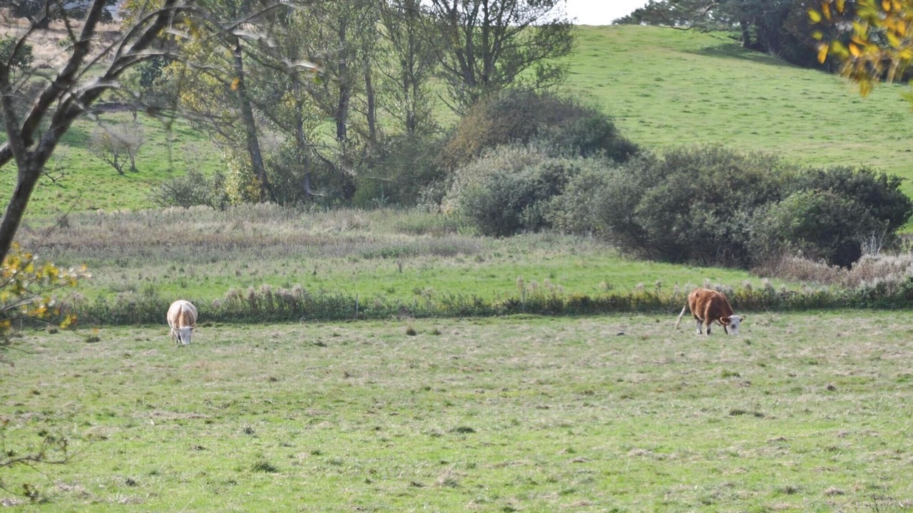 Photo of Others in Hornbaek