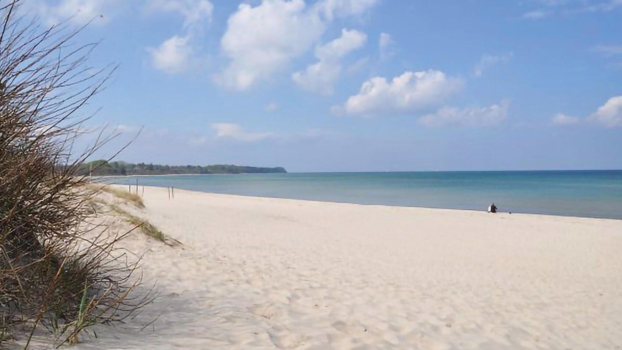 Photo of Others in Hornbaek