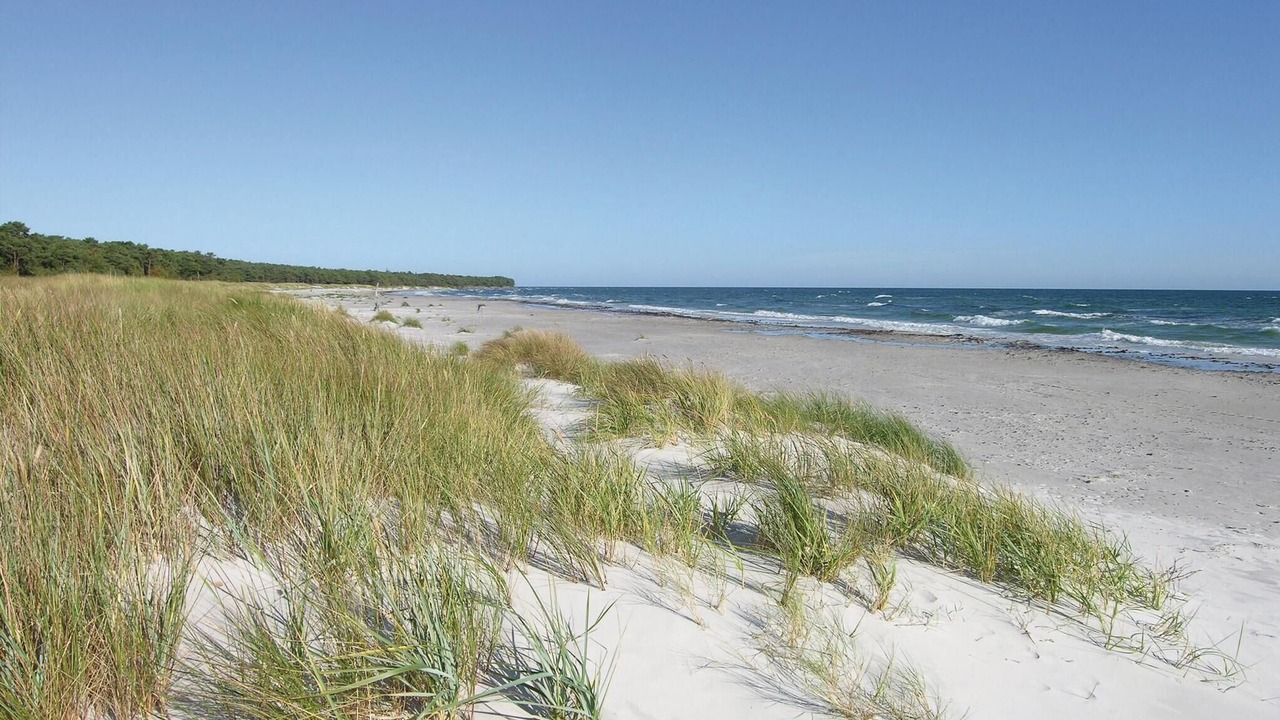 Photo of Others in Dueodde