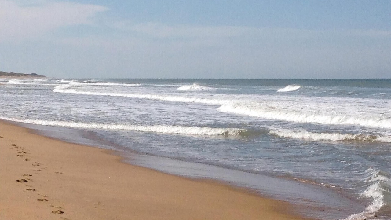 Photo of Others in La Faute-sur-Mer