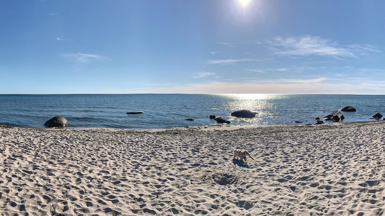 Photo of Others in Hasle