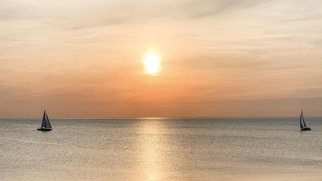 Photo of Others in Hasle