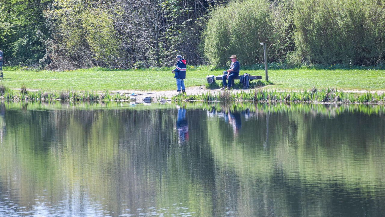 Photo of Others in Arrild Ferieby