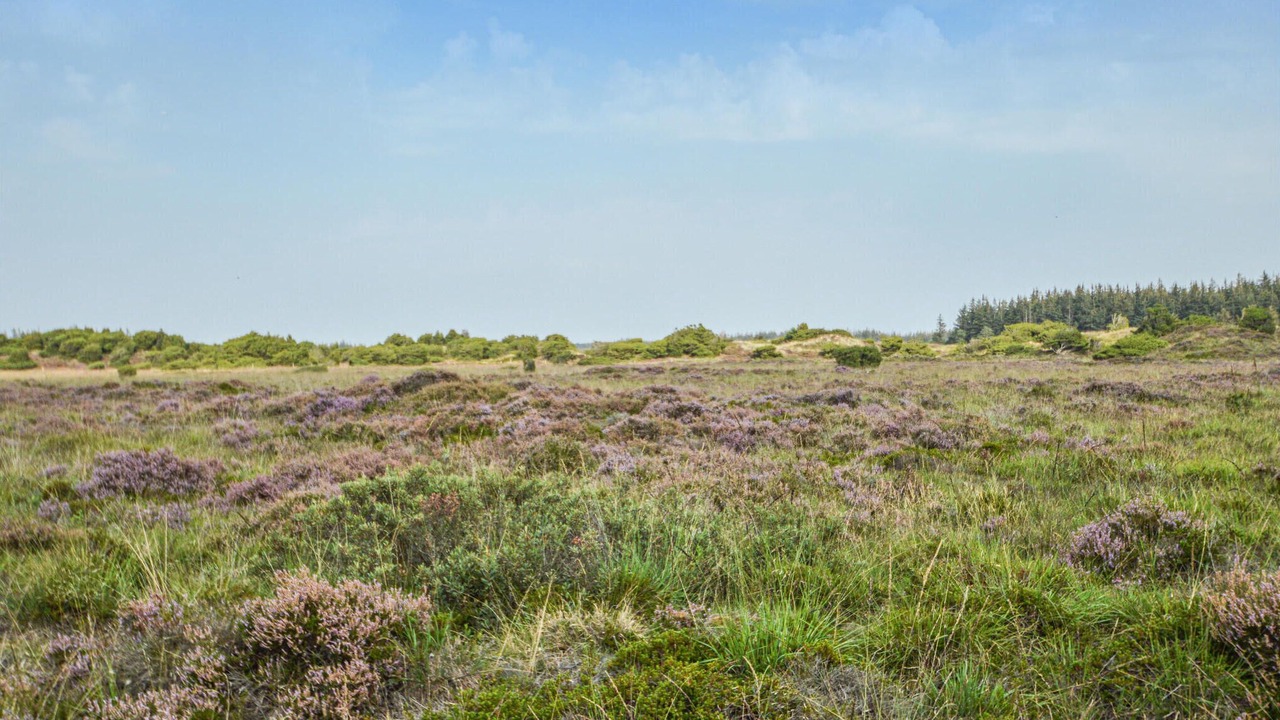 Photo of Others in Arrild Ferieby